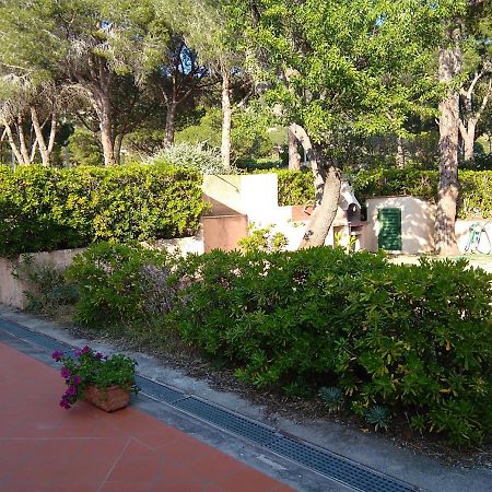 La Casa Dei Nonni - Services Included - Servizi Inclusi カポリーヴェリ エクステリア 写真