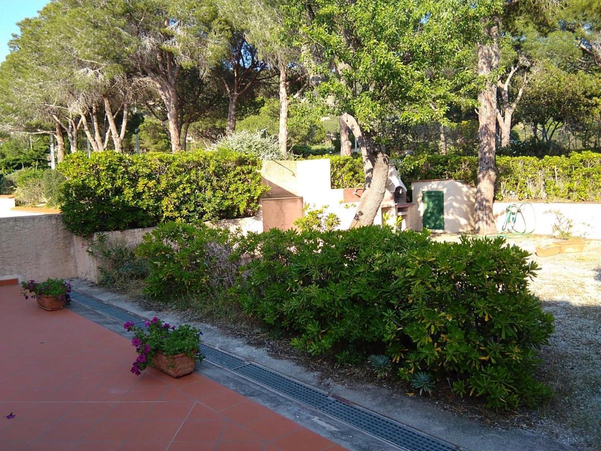 La Casa Dei Nonni - Services Included - Servizi Inclusi カポリーヴェリ エクステリア 写真